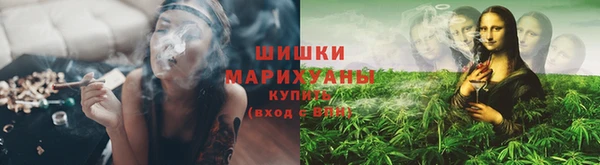 гашик Переславль-Залесский